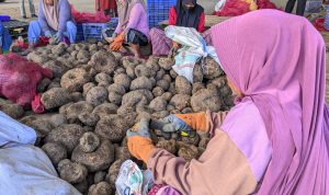 Config by AndroGcam ✓1 Aug 13_08.HDR+COLOR ⚡ (jpeg) by AndroGcam