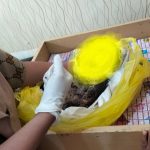 IMG-20260123-WA0038~2